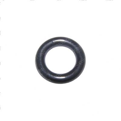 Picture of O-Ring