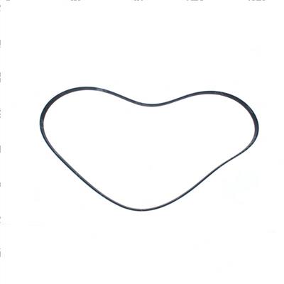 Picture of Belt - Serpentine