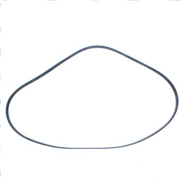 Picture of Belt - Serpentine