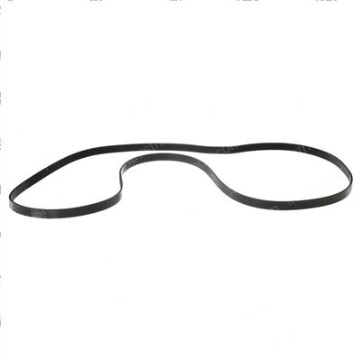 Picture of Belt - Serpentine