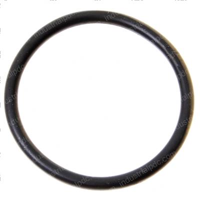 Picture of O-Ring
