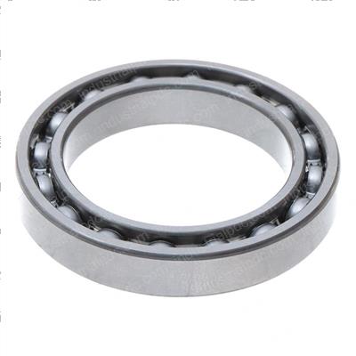 Picture of Ball Bearings (1 Ring)