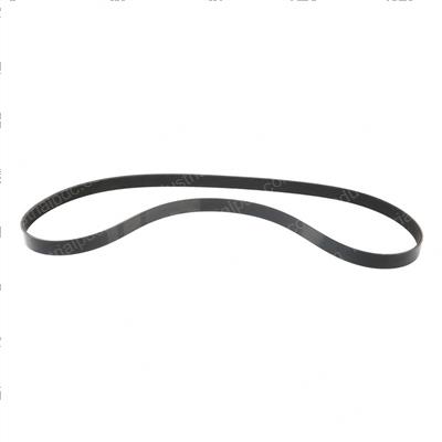 Picture of Belt - Serpentine