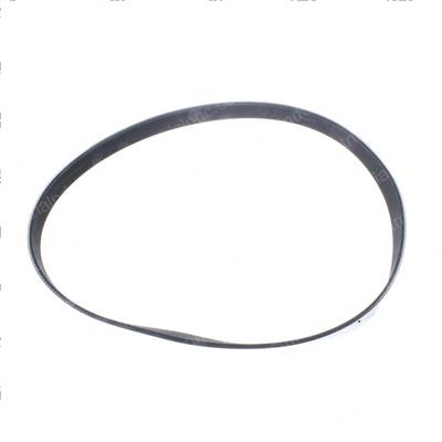 Picture of Belt - Serpentine