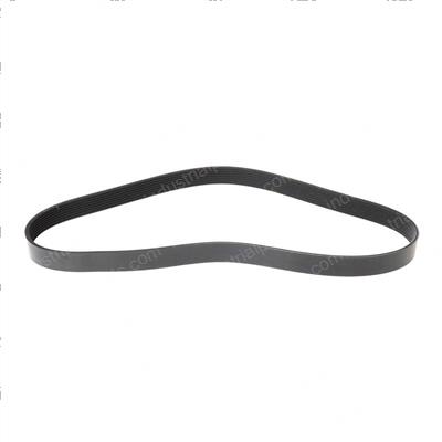 Picture of Belt - Serpentine