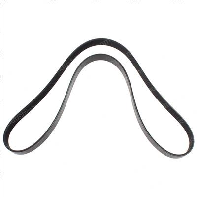 Picture of Belt - Serpentine