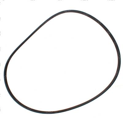 Picture of Belt - Serpentine