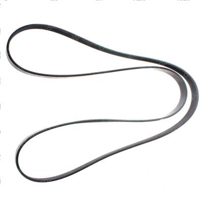 Picture of Belt - Serpentine