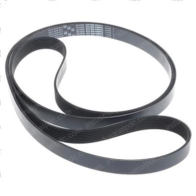 Picture of Belt - Serpentine