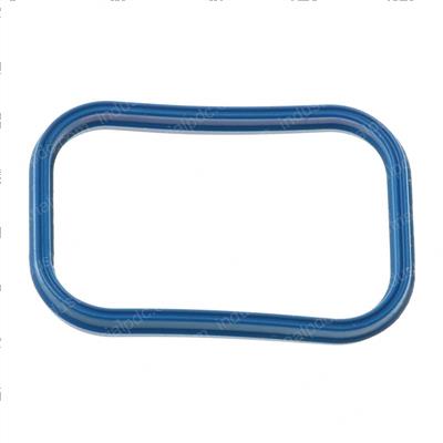 Picture of Seal