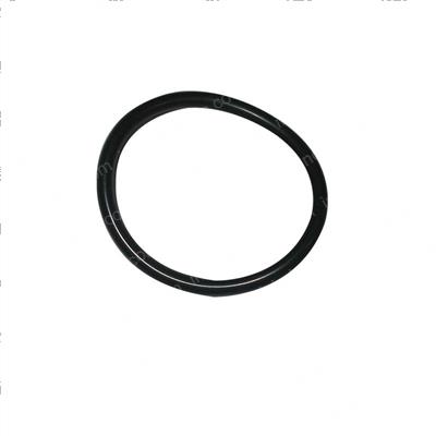 Picture of O-Ring