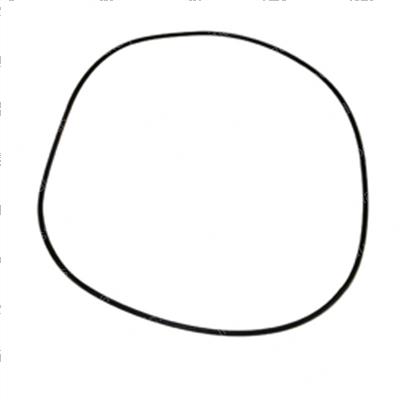 Picture of Ring - Snap