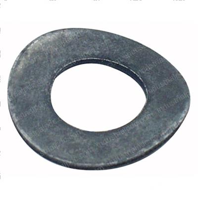 Picture of Washer - Spring