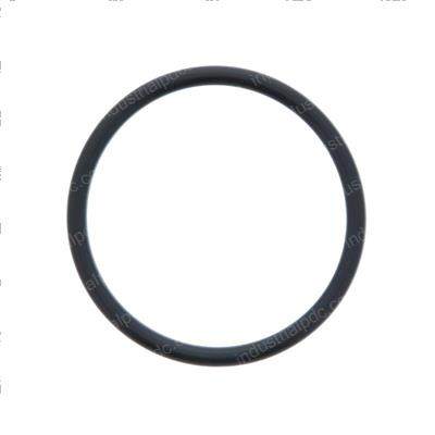 Picture of O-Ring
