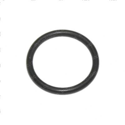 Picture of O-Ring