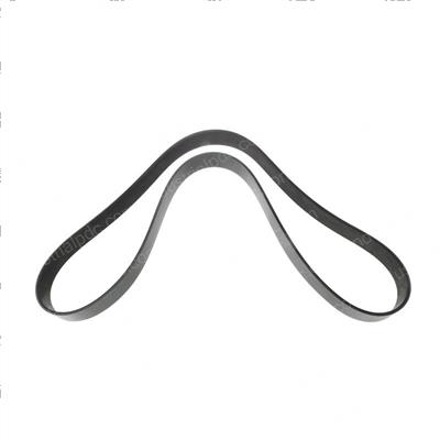 Picture of Belt - Serpentine