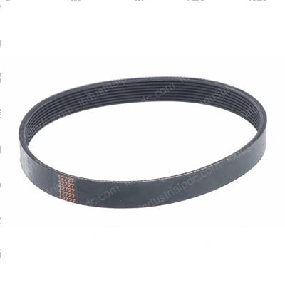 Picture of Belt