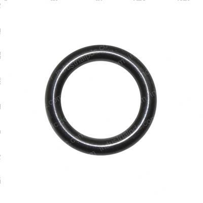 Picture of O-Ring