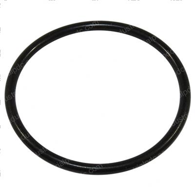 Picture of O-Ring
