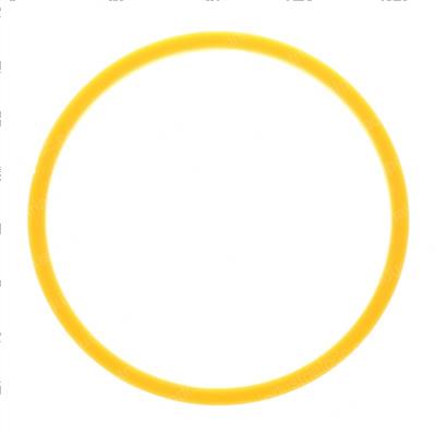 Picture of Ring - Backup