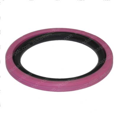 Picture of Seal
