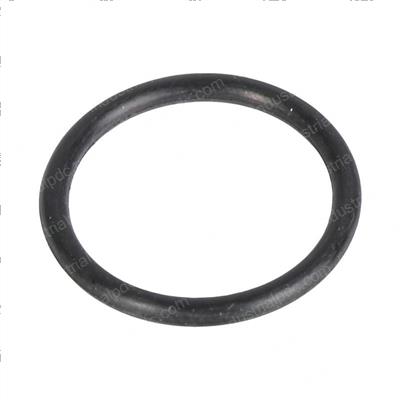Picture of O-Ring