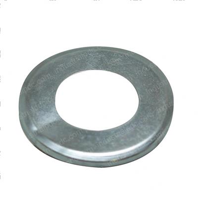 Picture of Seal