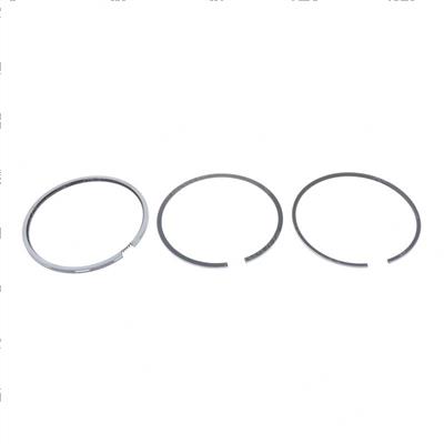 Picture of Assembly-Ring Piston(025)