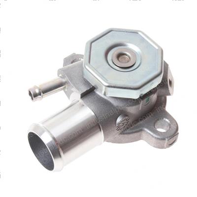 Picture of Cap- Water Thermostat