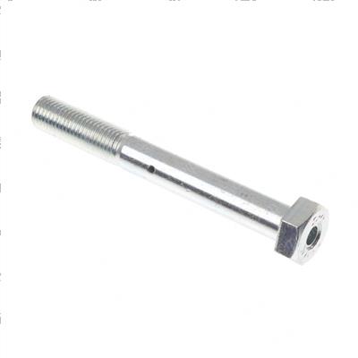 Picture of Screw - Drilled Hex Cap