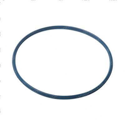 Picture of Seal