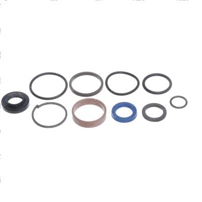 Picture of Seal Kit-4555se