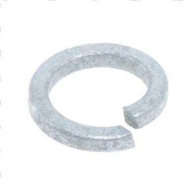 Picture of Spring Washer