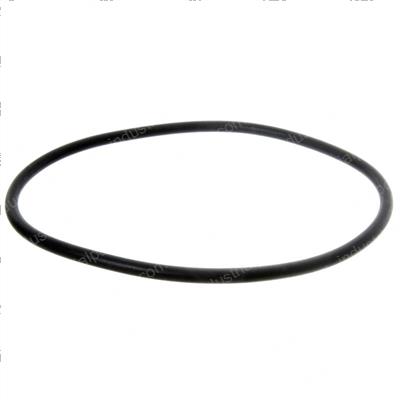 Picture of O-Ring