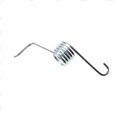 Picture of Spring Torsion (right)