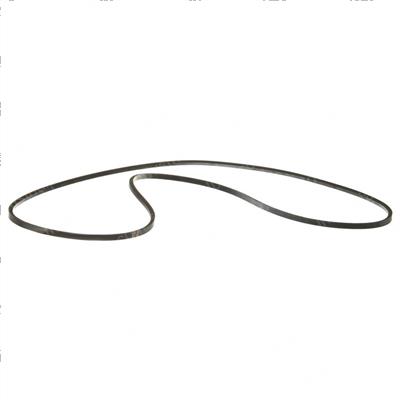 Picture of Belt V [3l] 80.0l