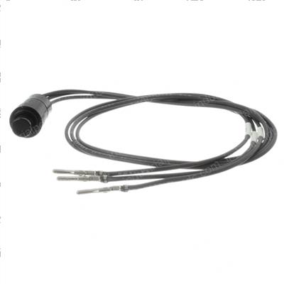 Picture of Switch Assembly