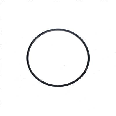 Picture of Seal