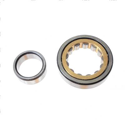 Picture of Bearing
