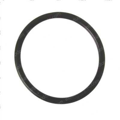 Picture of O-Ring