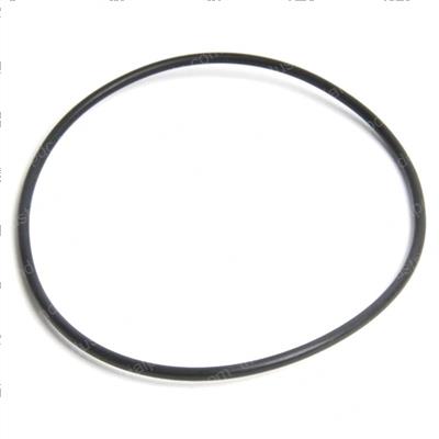 Picture of O-Ring