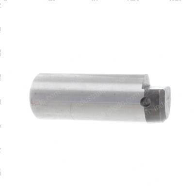 Picture of Pin
