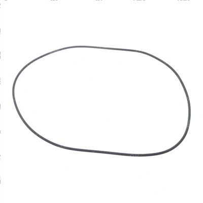 Picture of O-Ring