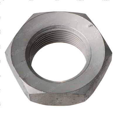 Picture of Nut - Special