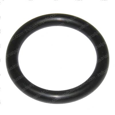 Picture of O-Ring