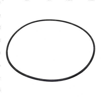 Picture of O-Ring