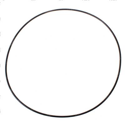 Picture of O-Ring