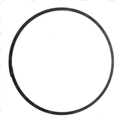 Picture of Ring - Back-Up