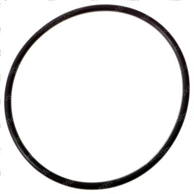 Picture of O-Ring