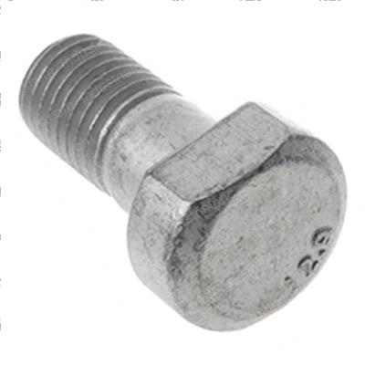 Picture of Bolt